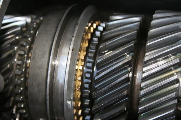 Scion transmission services